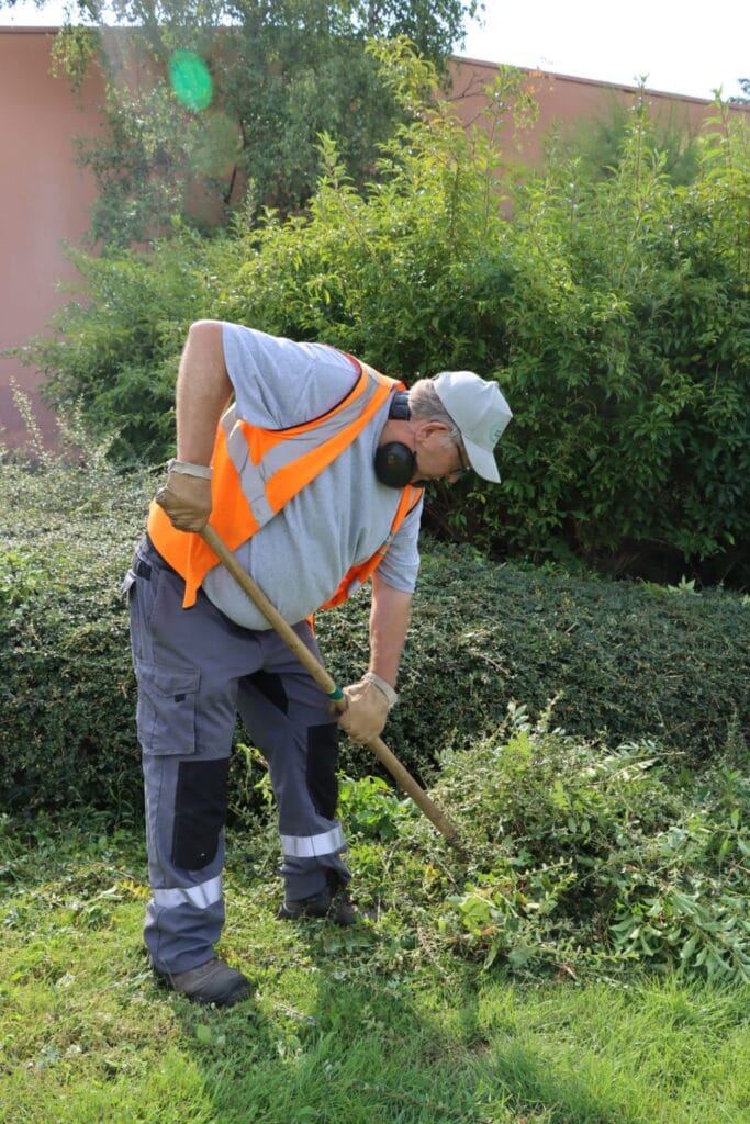dominique entretien espaces verts doryann (2)