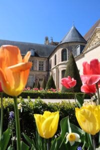 jardin orangerie tulipe helene (8)